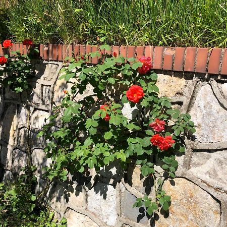 La Collina Di Albiro Affittacamere 阿尔科拉 外观 照片