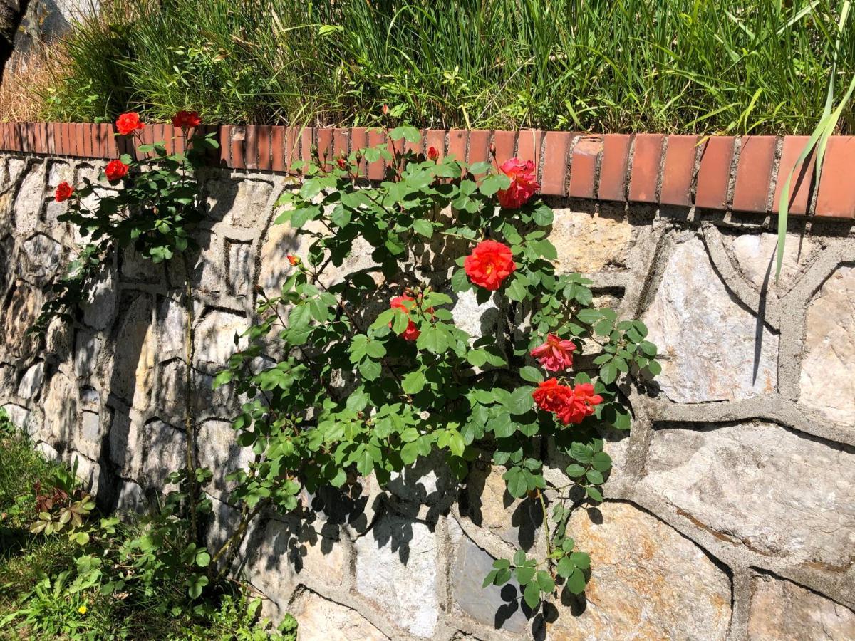La Collina Di Albiro Affittacamere 阿尔科拉 外观 照片