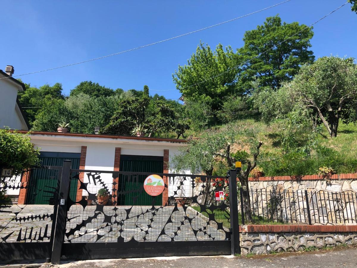 La Collina Di Albiro Affittacamere 阿尔科拉 外观 照片