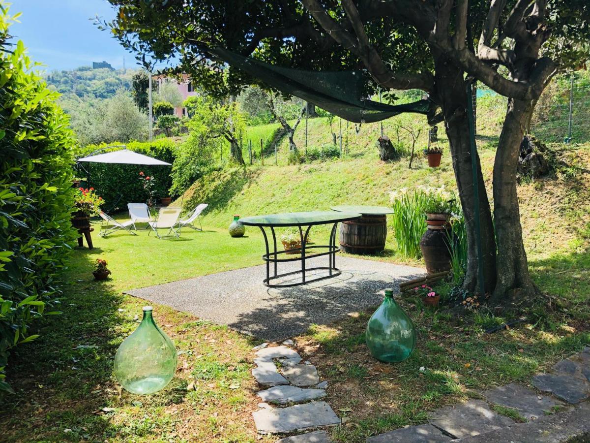 La Collina Di Albiro Affittacamere 阿尔科拉 外观 照片